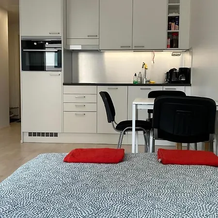 Entire Near Helsinki Airport In Kivistoe Apartment